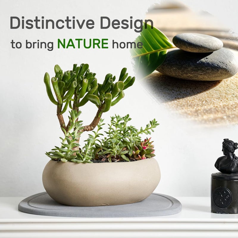 Relime Diatomaceous Earth Plant Saucer for Indoor, 2 Pack Irregular 6 Inch 12 Inch, Instant Dry Pot Saucer, Plant Drip & Drainage Tray for Indoor, Stone Gray - Image 3
